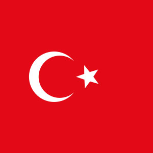 Team Türkiye