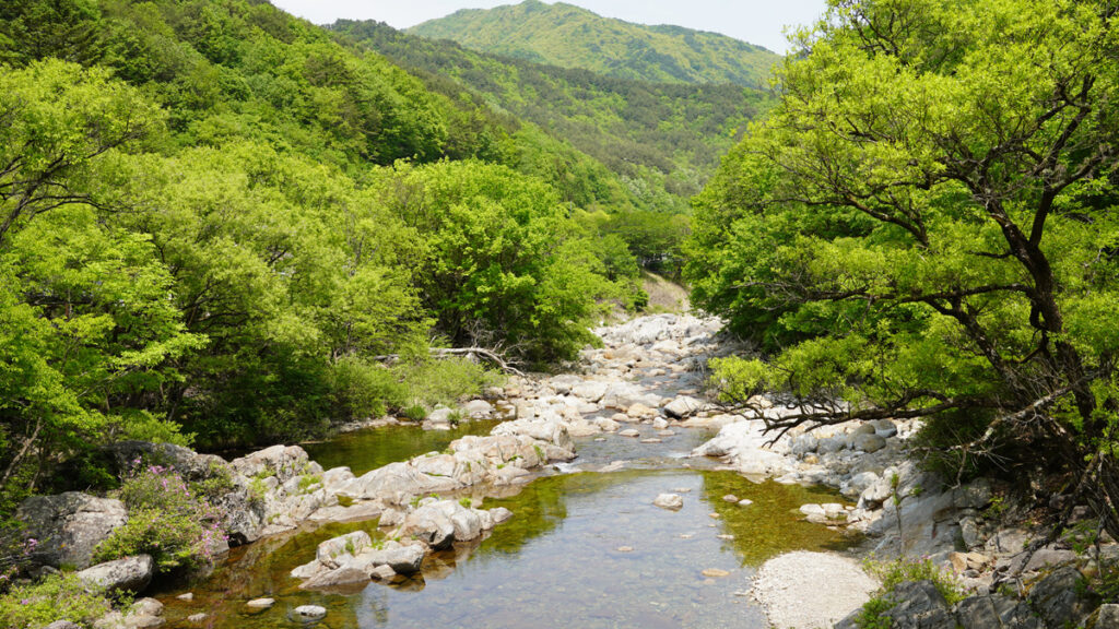 Jirisan Mountain