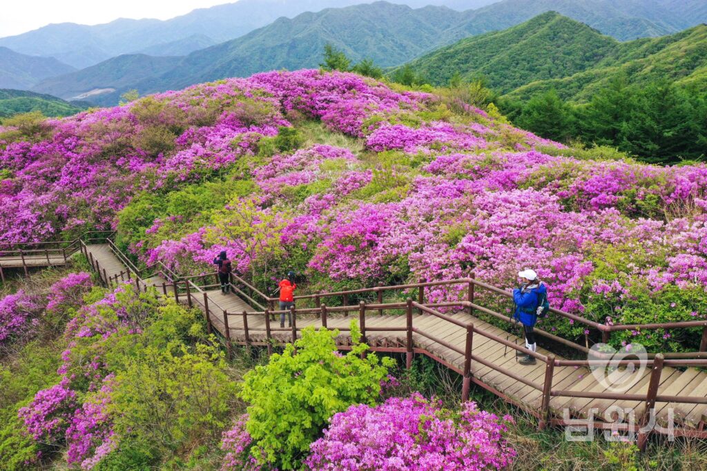 巴来峰