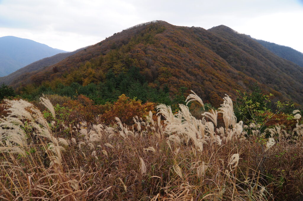 万福台